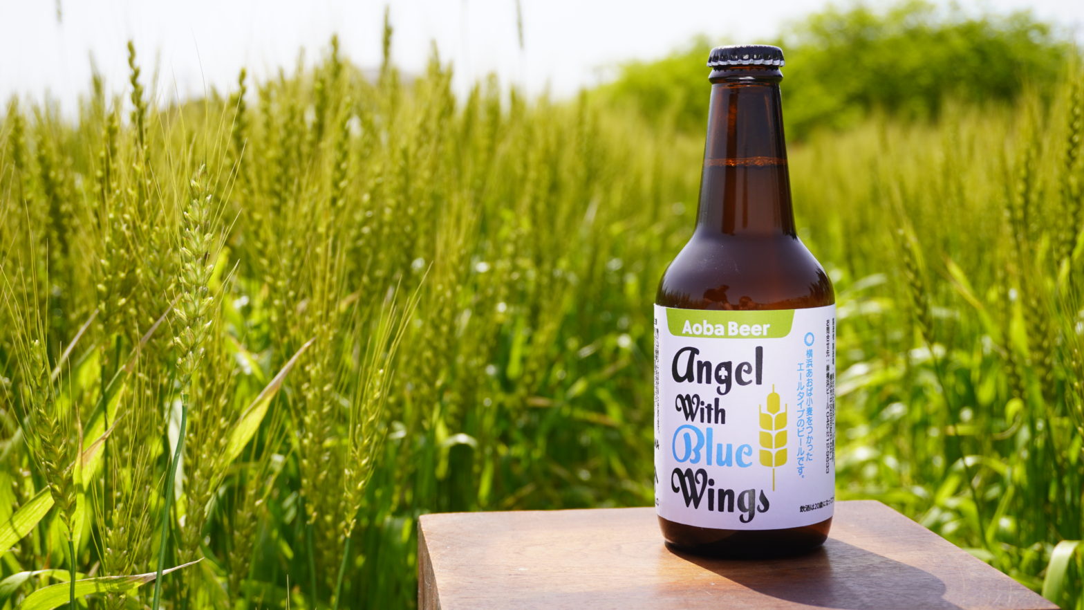 あおばビール　Angel With Blue Wingsの販売促進などを担っています。